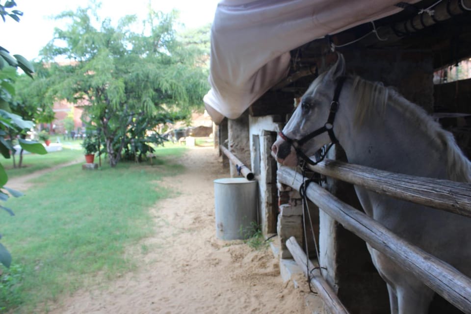 Shannu's Ranch Inn Inn in Rajasthan