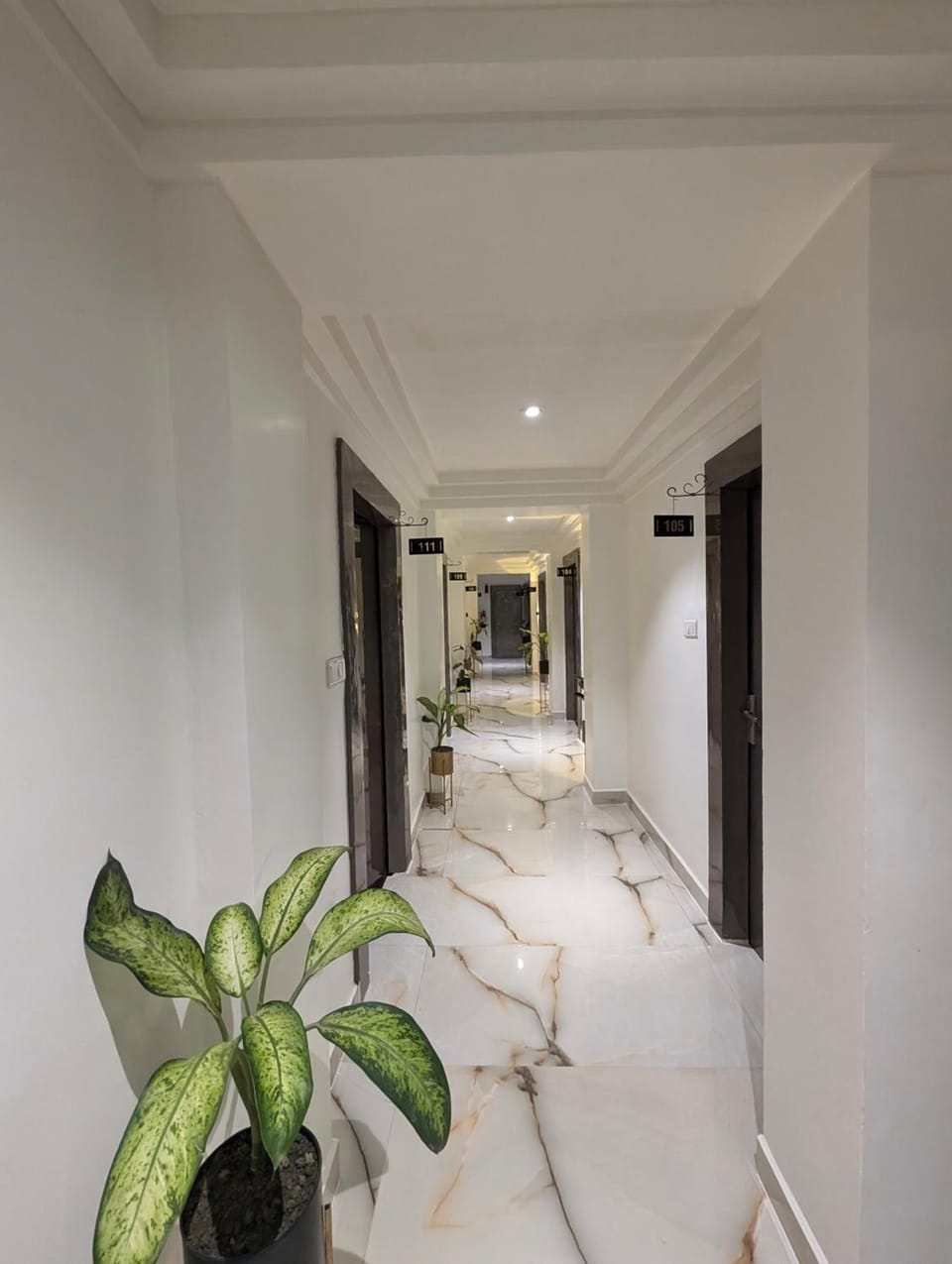 The Vibs International Hotel in India