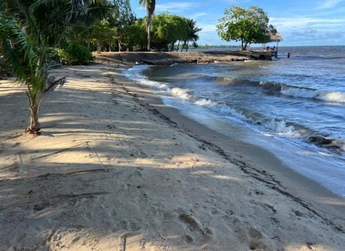 Dove Escapes - beach front One bdrm Cabana Hotel in Stann Creek District