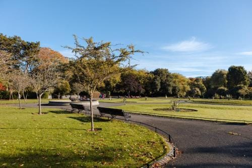The Leeson Inn Hotel in Dublin