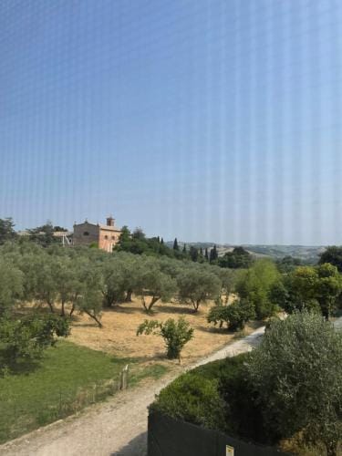 LOCANDA OLIVI affitta camere Hotel in Senigallia
