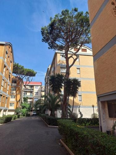 Gold Sunshine srls Guest House o Affittacamere Hotel in Ostia