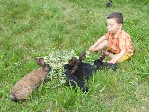 Chambres d'hotes familiales a Vecoux, nature et activites - FR-1-589-739 Hotel in Vosges