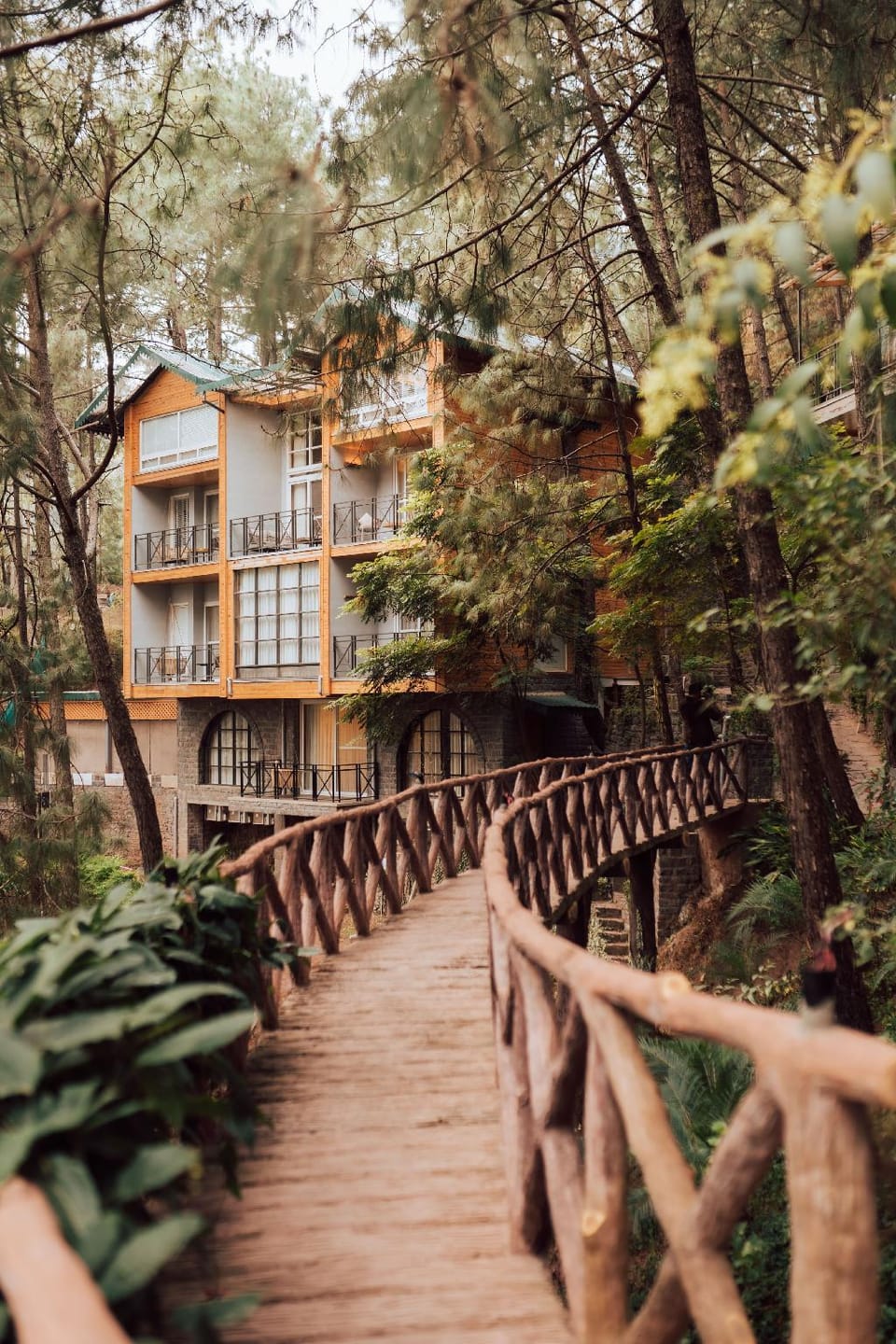 Kasauli Hills Resorts Resort in Himachal Pradesh
