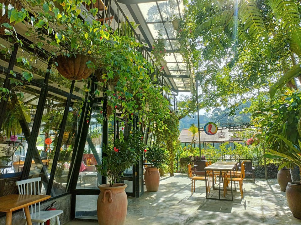 Lalaland Homestay Hotel in Dalat