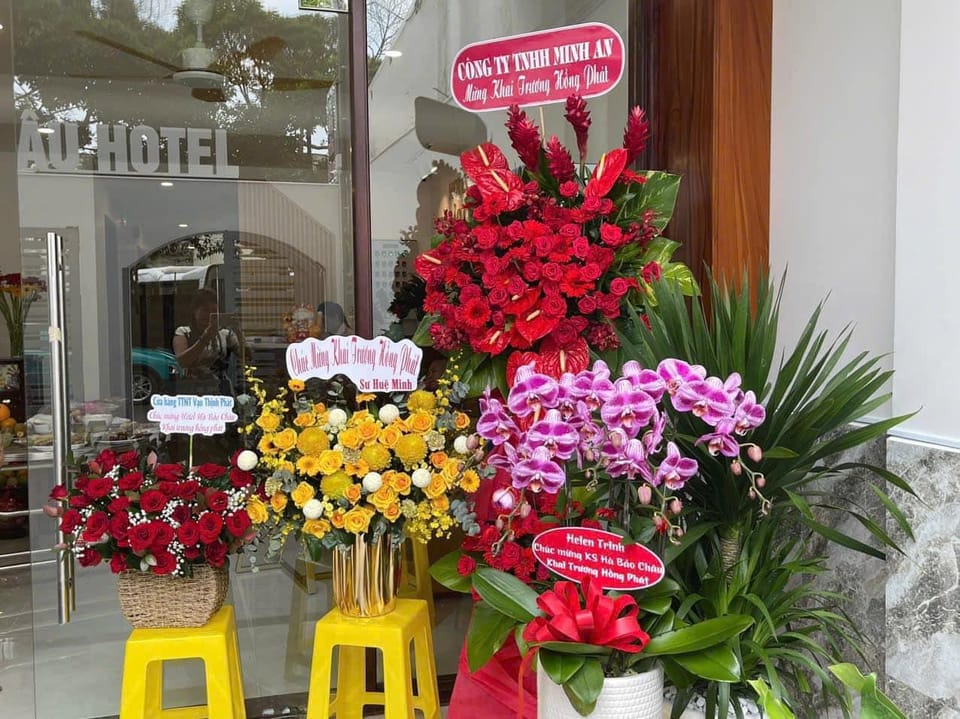Ha Bao Chau Hotel Tan Binh Hotel in Ho Chi Minh City