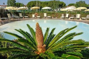 Apartment in Tuscany near Beaches  Pool Hotel in Tuscany