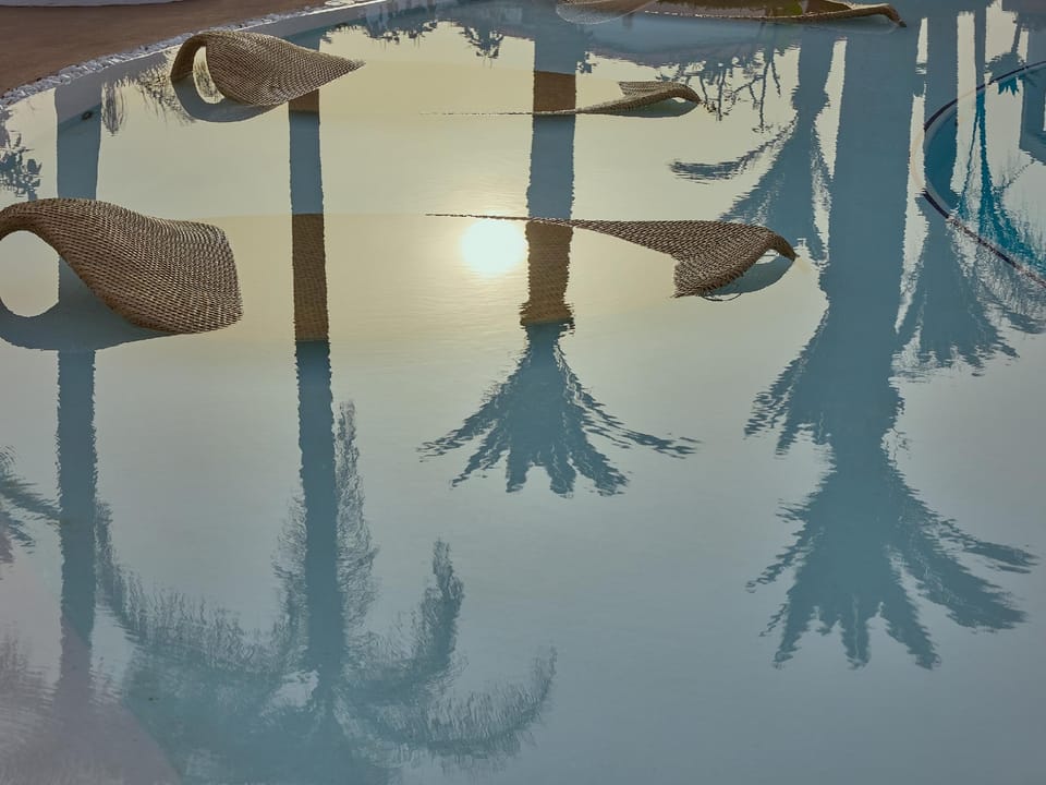 Swimming pool [outdoor]