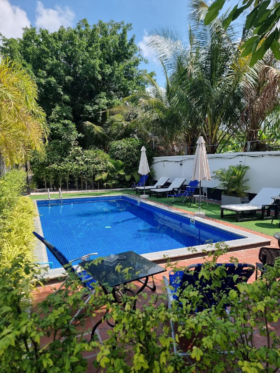 Coconut Paradise Bungalow Kampot Resort in Cambodia