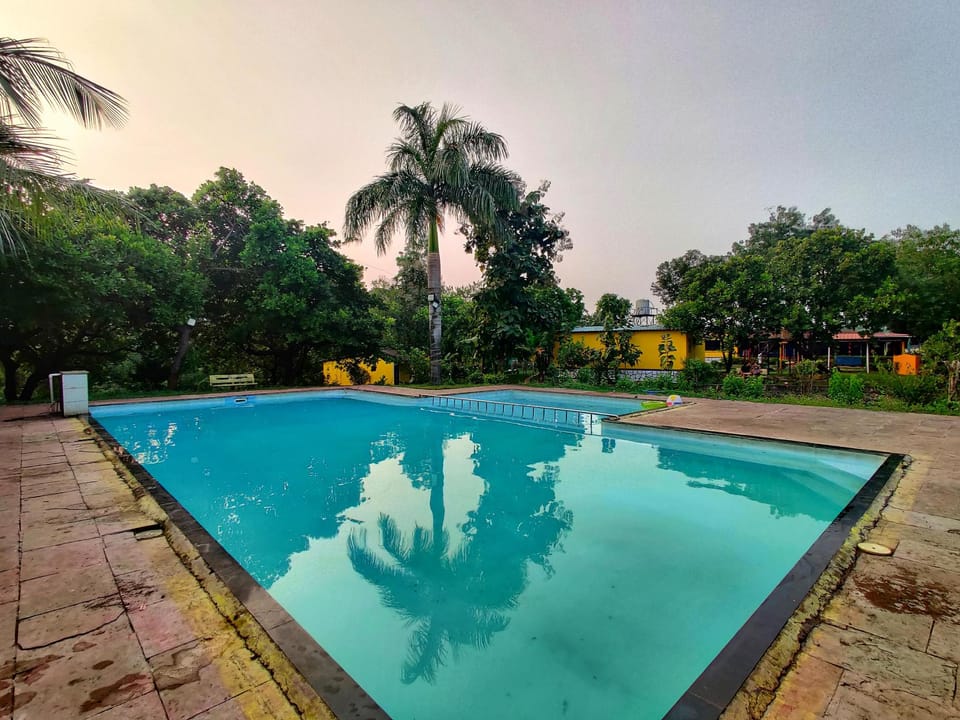 Swimming pool [outdoor]