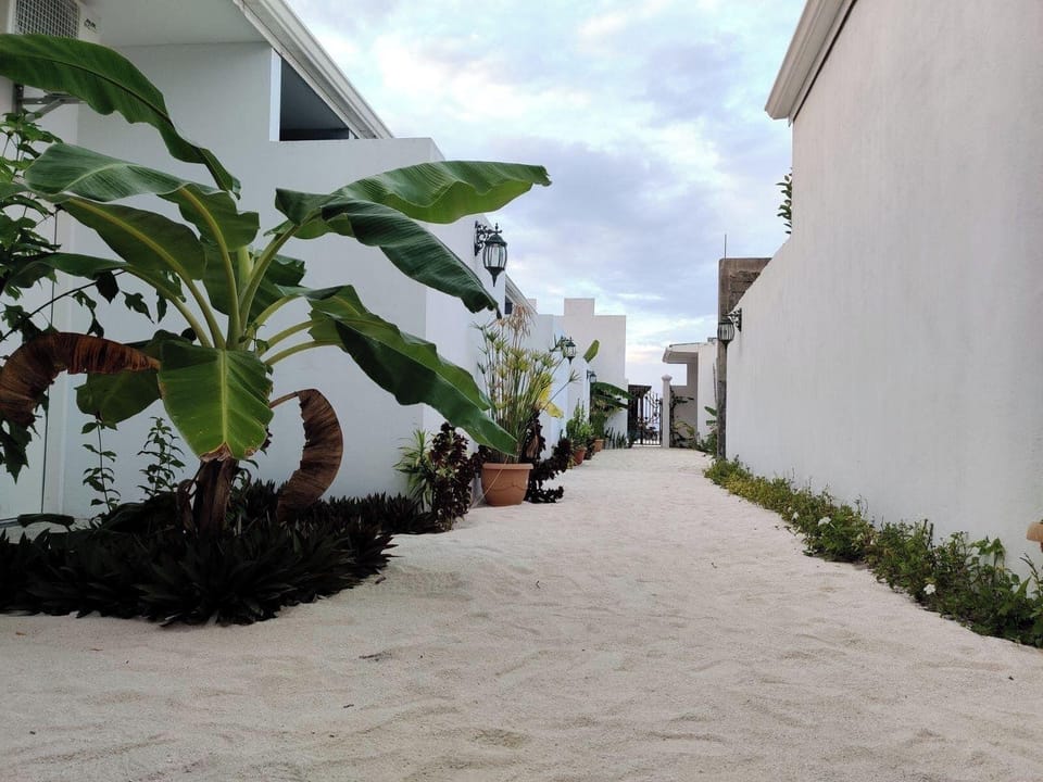 Coral Castle Hotel in Maldives