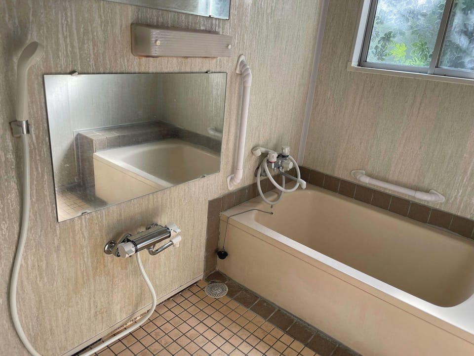 Guesthouse Hayashiya Hotel in Kitaazumi District