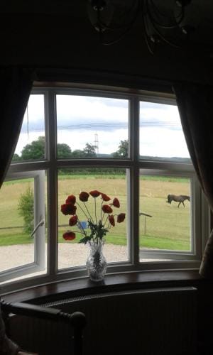 Meadow Farm Cottage Hotel in South Norfolk District