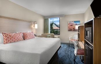 An Amazing Surfside Beach Escape Hotel in Surfside Beach