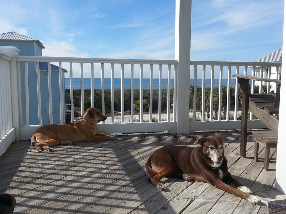 Veranda Views Hotel in Florida