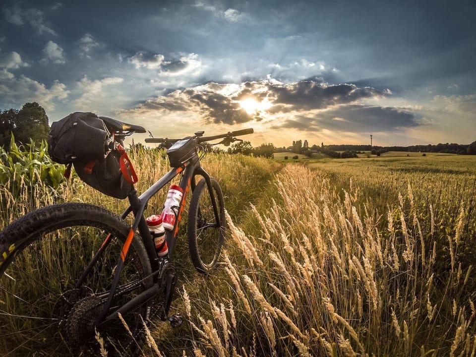 Charming Old Town Bungalow W/ Free Cruiser Bikes Hotel in Fort Collins