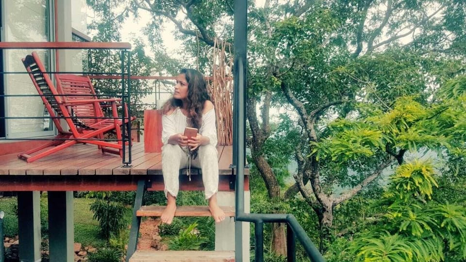 Treehouse Chalets Hotel in Uva Province, Sri Lanka