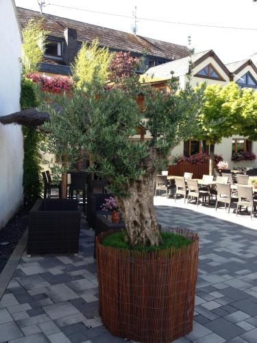 Gasthaus Wollscheid Hotel in Trier