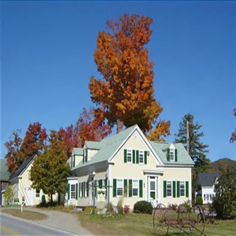 The Sunny G B&B Hotel in Campton Upper Village