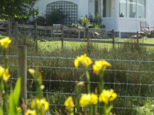 The Swallows Guest House Hotel in Wales