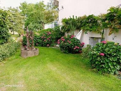 Suite familiale confortable avec WiFi a Saint-Benoit-sur-Loire, animaux admis - FR-1-590-447 Hotel in Centre-Val de Loire