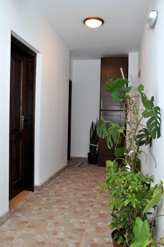 Vila Bogdanovic Lodge in Serbia
