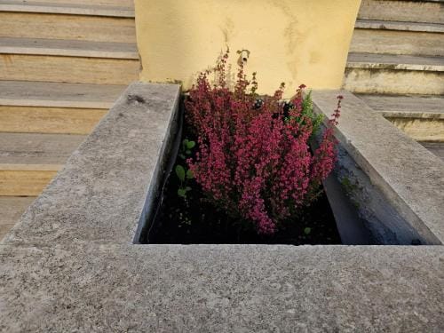 Why Not Hotel in L'Aquila