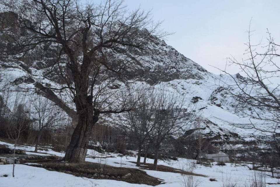 Siwakth Huts Chitral Hotel in Pakistan