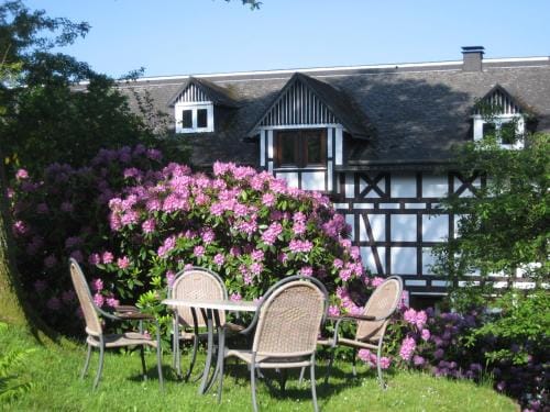 Pension Hampel Hotel in Winterberg