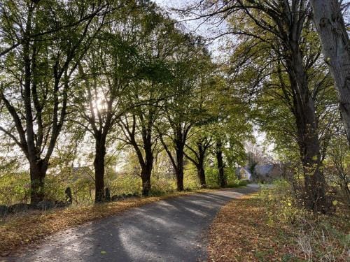 GRUBBE MØLLE Bed & Breakfast Hotel in Region of Southern Denmark