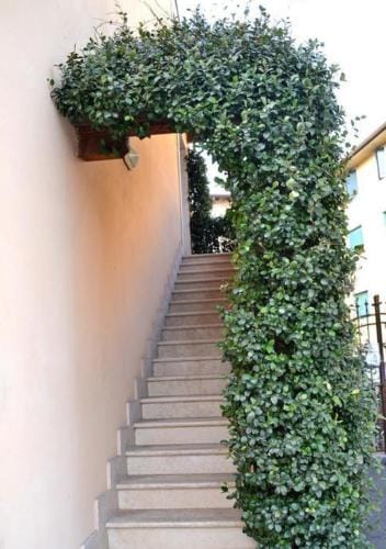 Alloggio La Pesa Hotel in Verona