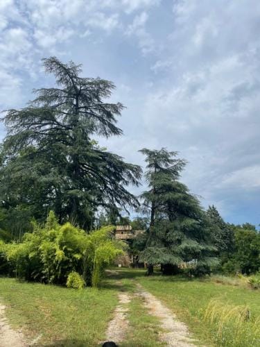 Le Viel Sabran Hotel in Provence-Alpes-Côte d'Azur