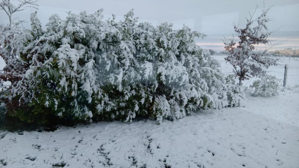 Global Guest Ireland Hotel in County Galway