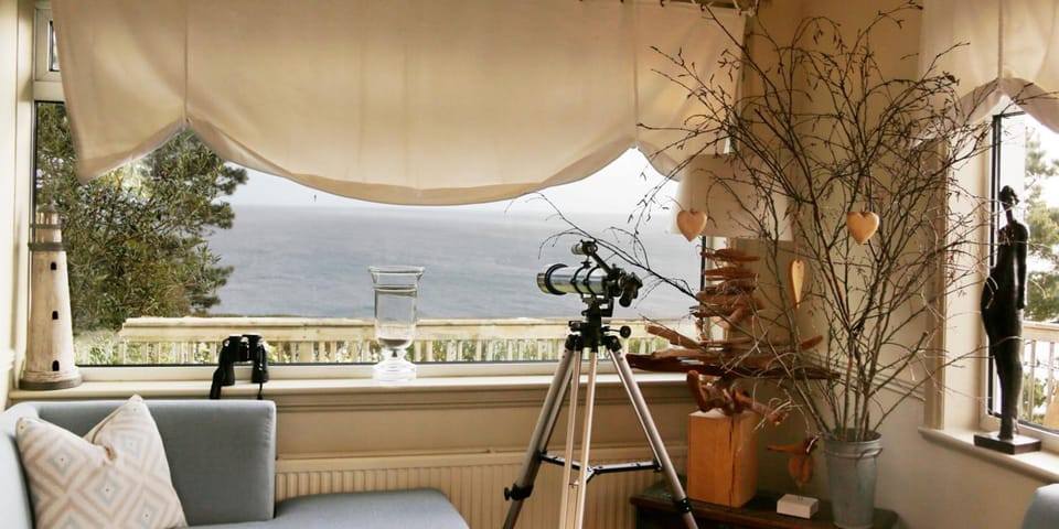 Driftwood B&B Hotel in England
