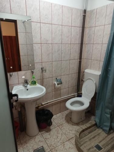 Isabela Hotel in Craiova