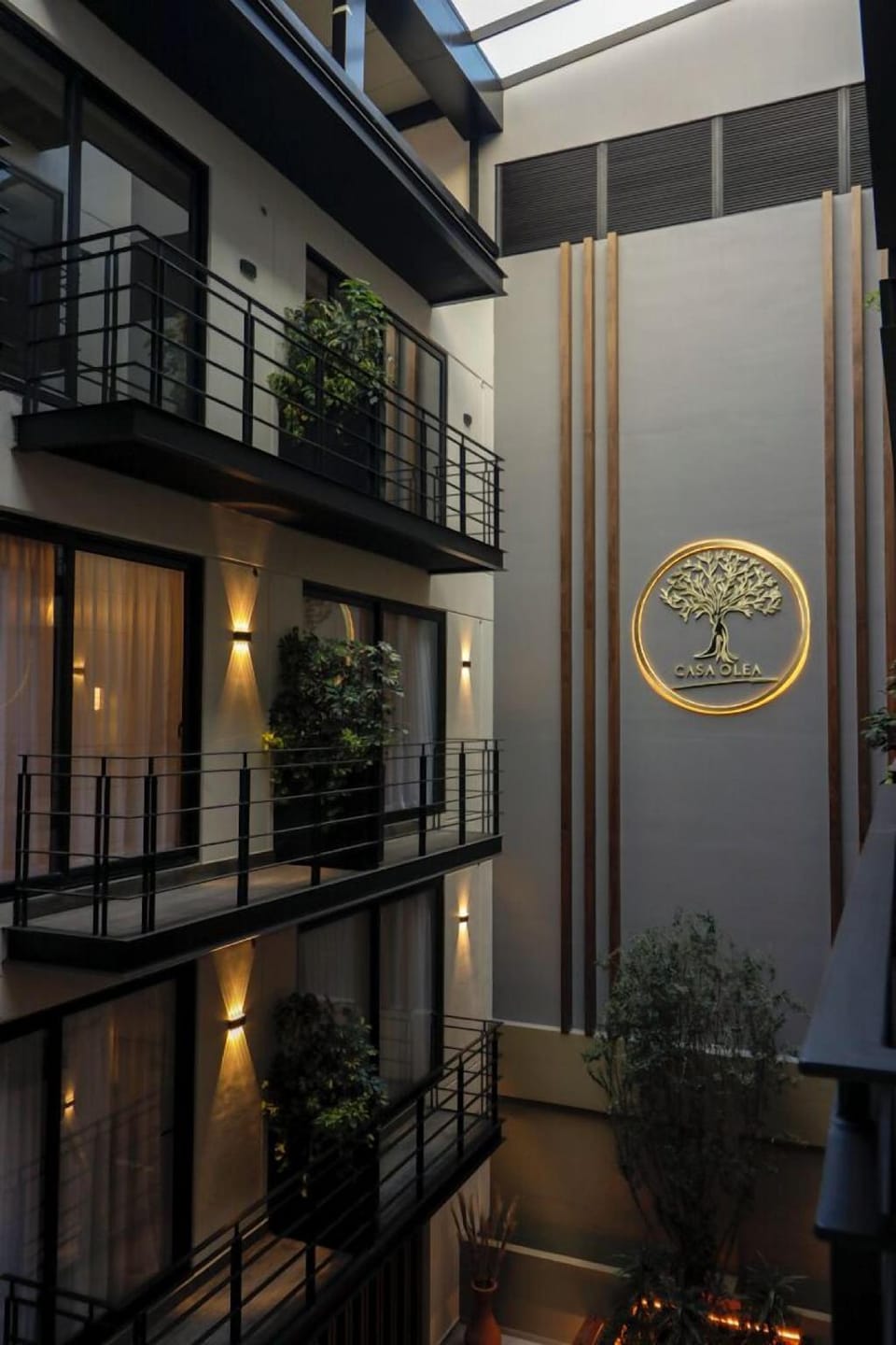 Casa Olea Hotel in Mexico City
