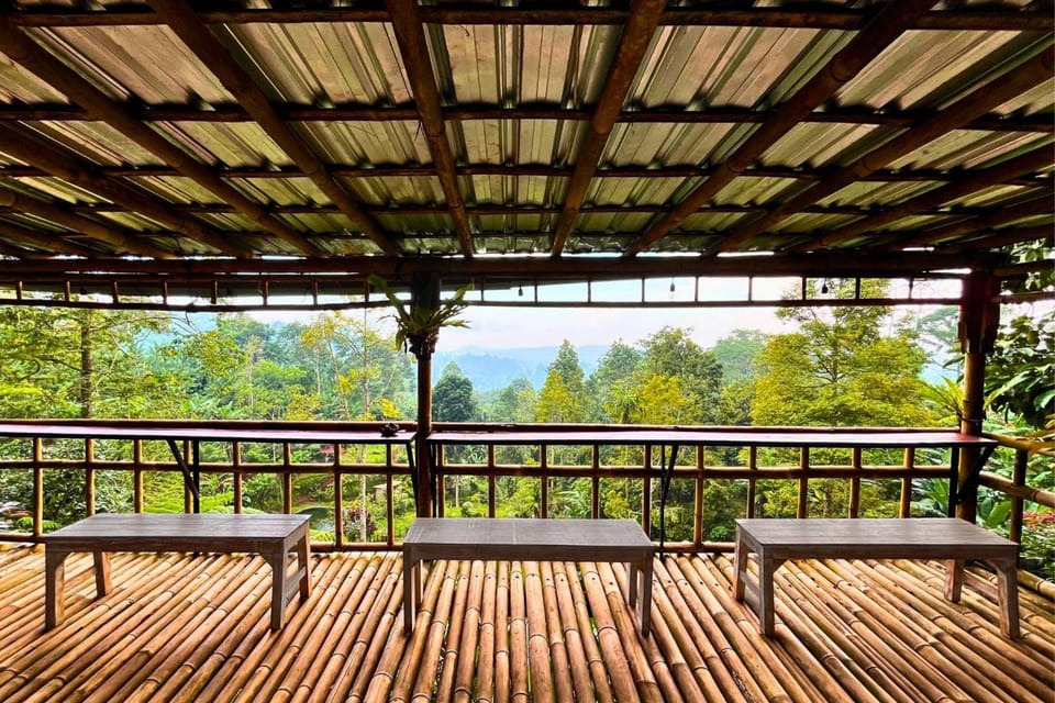 Surrounding environment