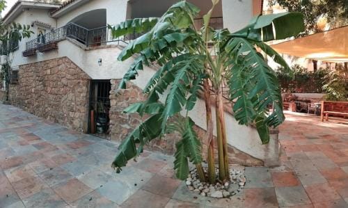 Casa en la naturaleza en Benidorm Hotel in Benidorm