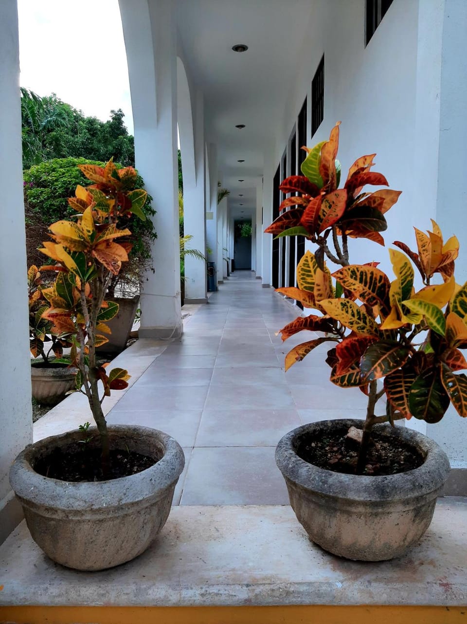 Departamentos X`Kanlol Apartment hotel in State of Quintana Roo