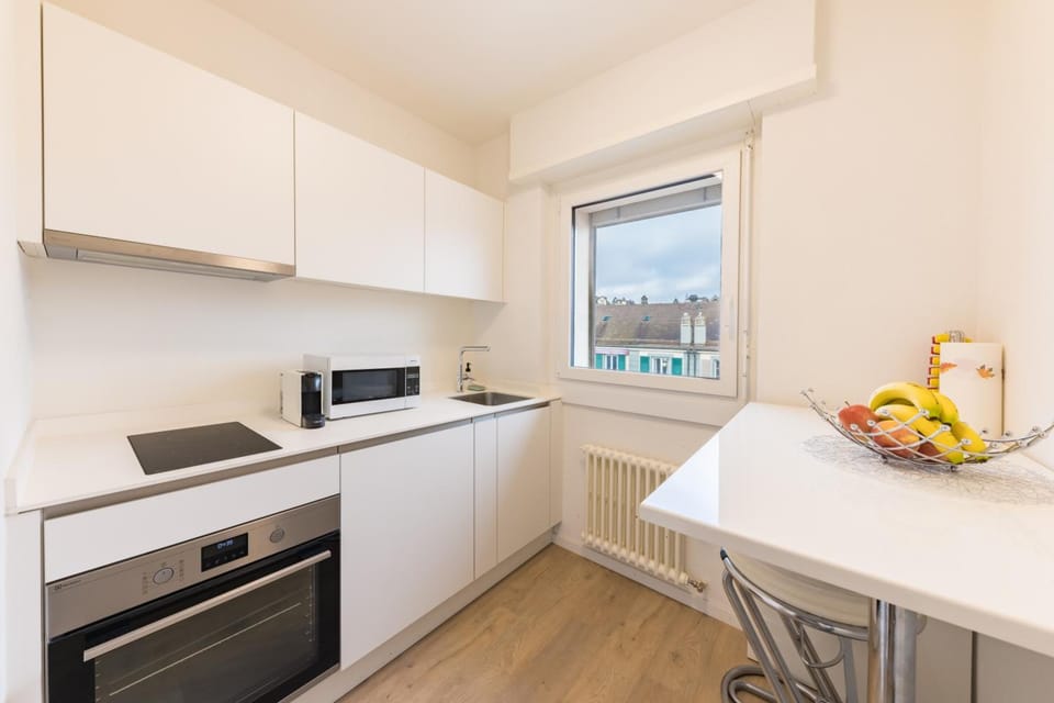 Swiss Flat Rental Hotel in Lausanne