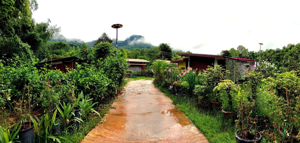 Phulunngkhawiew Homestay Hotel in Thailand