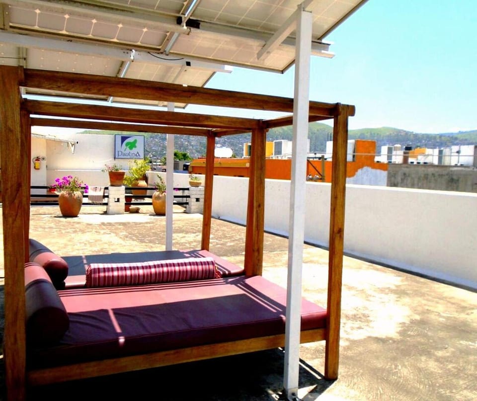 Paulina Youth Hostel Hostel in Oaxaca