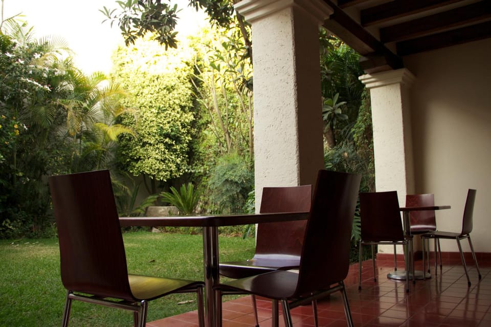 Paulina Youth Hostel Hostel in Oaxaca