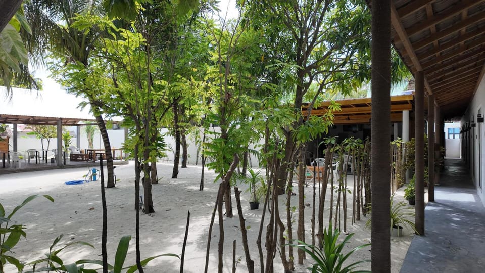 Navaya Dhiffushi Hotel in Maldives