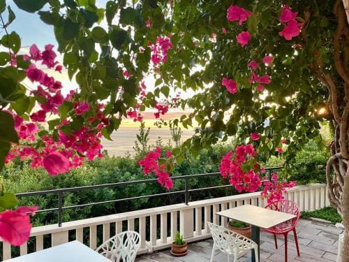 Apartments and rooms with parking space Plat, Dubrovnik - 23567 Hotel in Plat