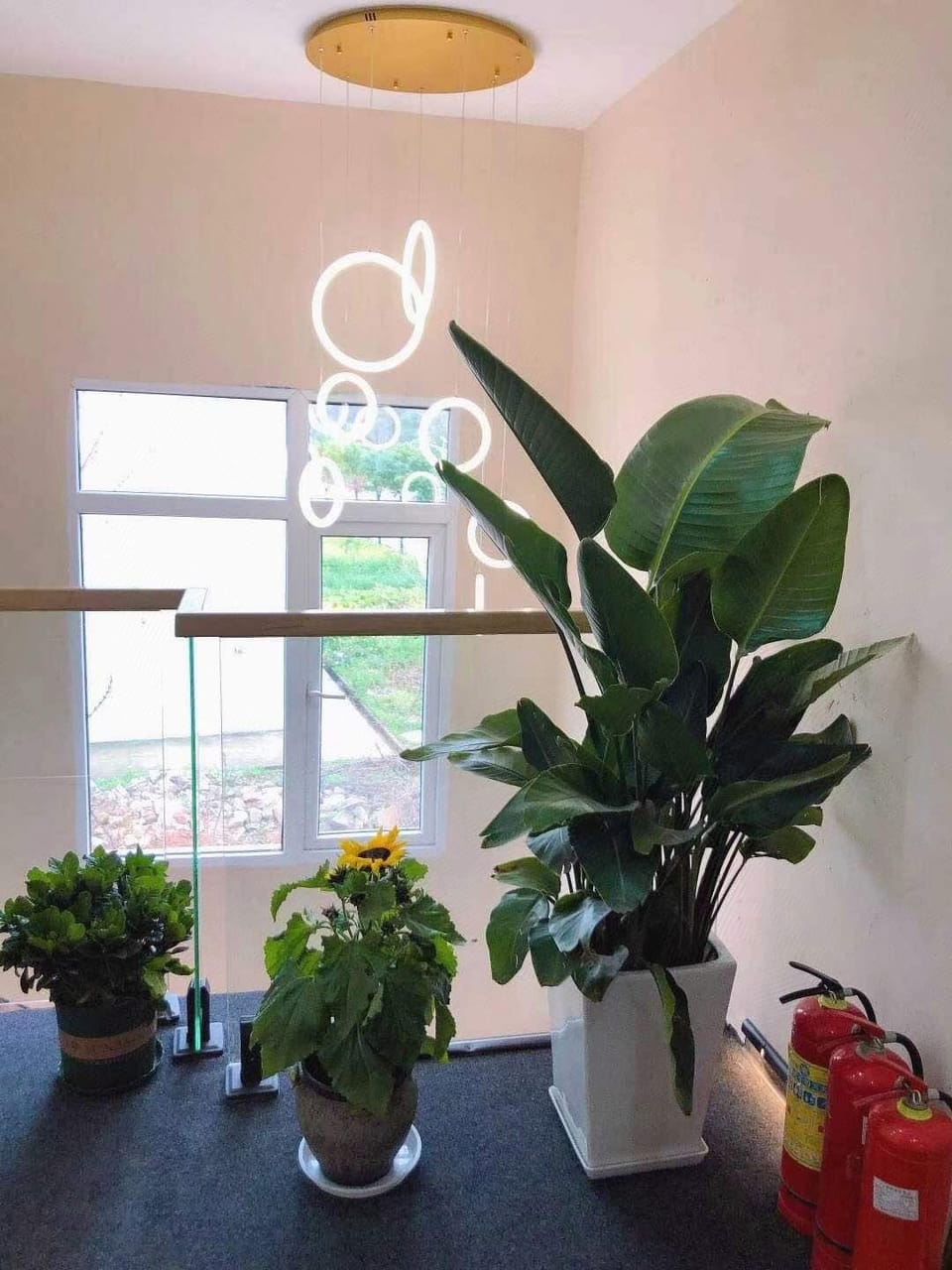 Muzi Homestay Hotel in Wuhan