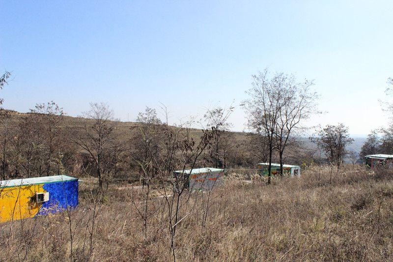 Yunji Ecological Park Resort Hotel in Shaanxi