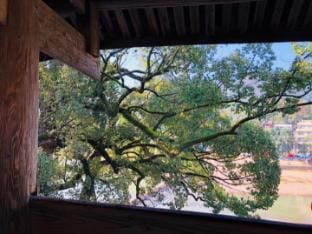 Taishun Yingguang Homestay Hotel in Zhejiang