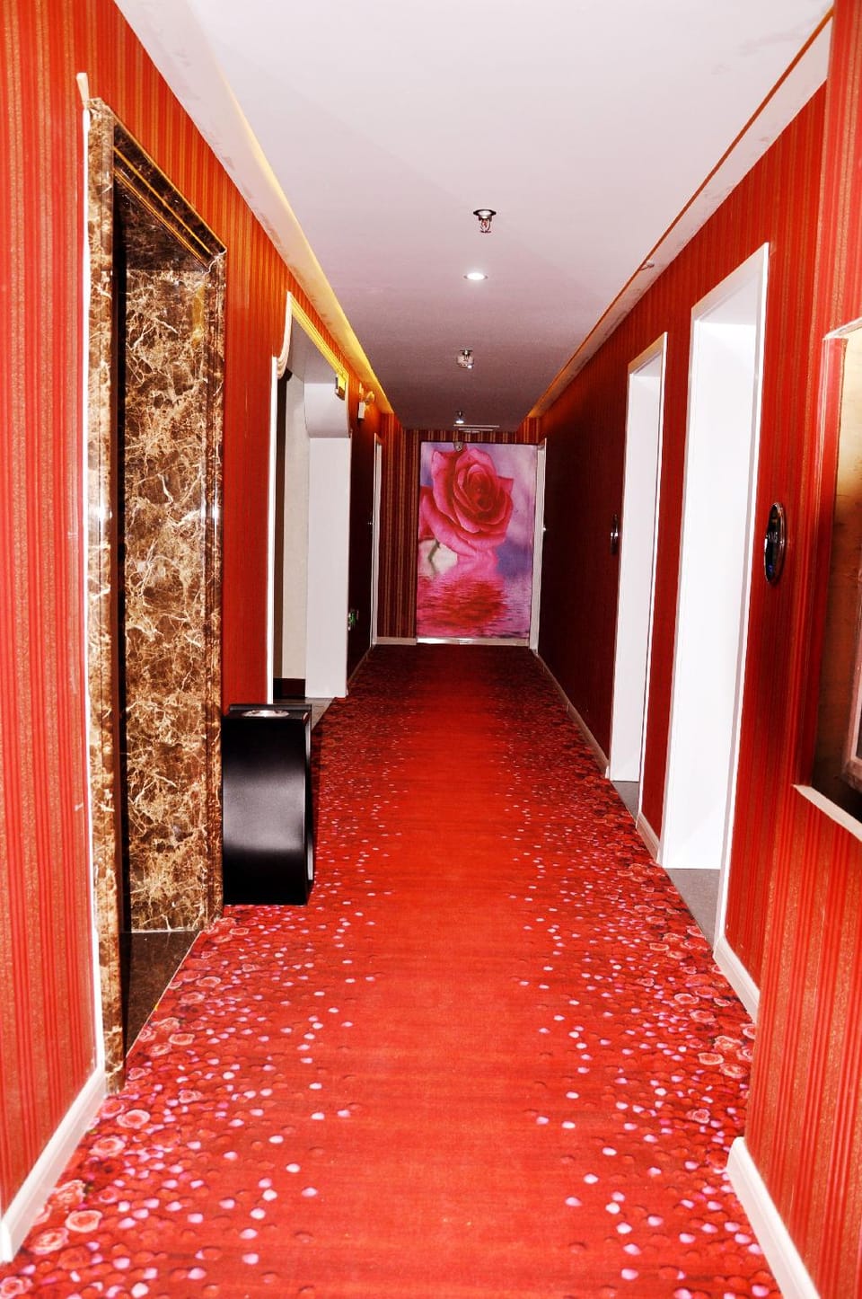 520 Fashion Theme Hotel Hotel in China