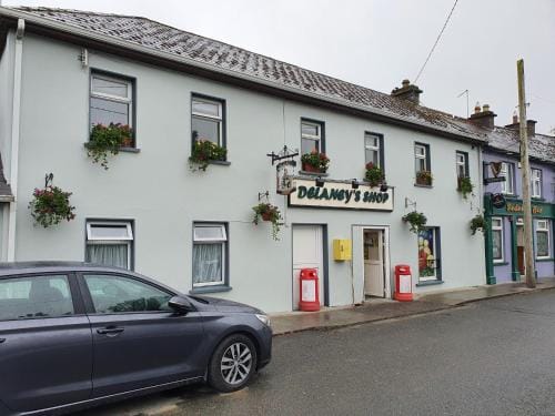 Seanie's guest house Hotel in County Kilkenny